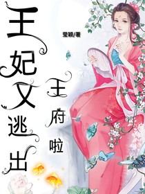 王妃又逃出王府啦