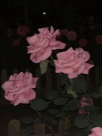 對不起，我們再也不分開