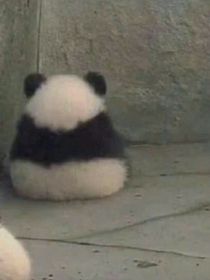 网课事故