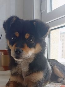 何处光明留的住？