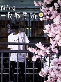 Ning：反转宁洛