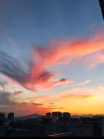 综影视之悯生的历练之旅