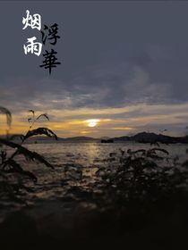 烟雨浮华