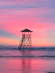 TF家族：海盡知故里