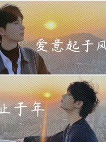 愛意起于風(fēng)，止于年