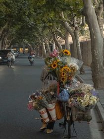山是故人眉