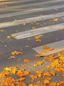 复汝