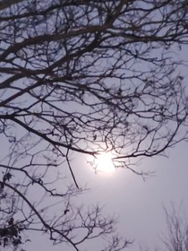 以月之铭