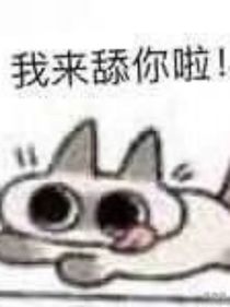 九鑫抢钱记