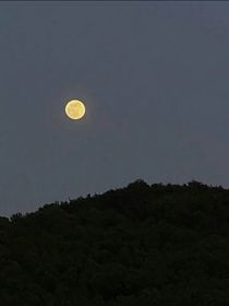 書名正在修改1658315318493754913