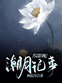 综影视：潮月记事