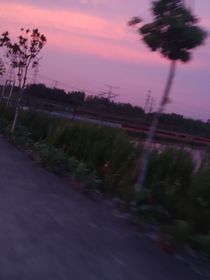 夏安辞