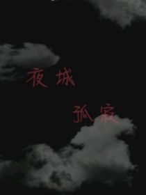 夜城孤寂