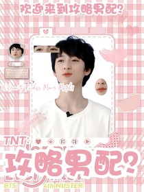 TNT：攻略男配？