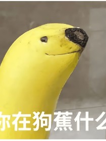 智慧树下你和我