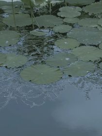 不真