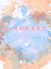 漫山遍野的鸢尾花