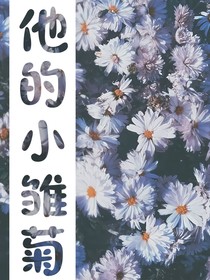 他的小雛菊