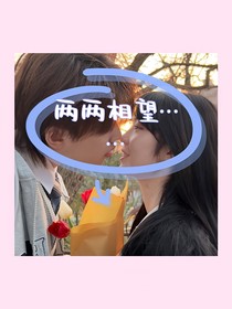 两两相望……