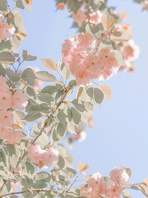 恋人而已