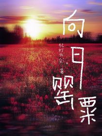 向日罂粟
