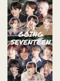 seventeen：下场——d914