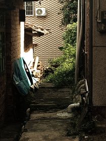 每天一日記
