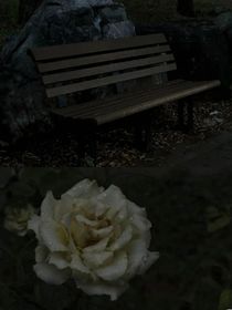 原來我們也曾和愛情靠的那么近