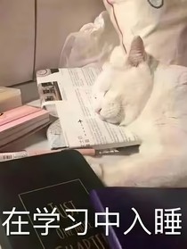 女配救赎记