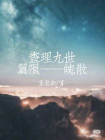 查理九世——翼陨魄散