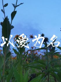 以愛为名