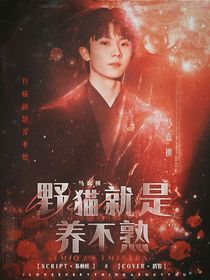 马嘉祺：野猫就是养不熟