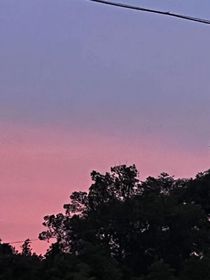 霍總慢慢寵