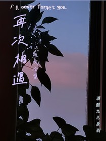 再次相遇——短文合集