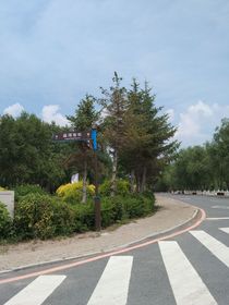 东京不下雪