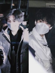 玫瑰的契约