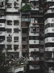 遲到的后悔