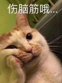 综：我的第五杂货铺