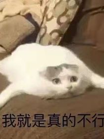 被奶茶嗆死后的重生
