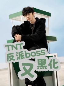 TNT：反派boss又黑化