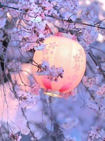 TNT和部分明星：所有心动都是你