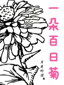一朵百日菊