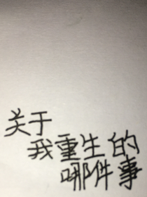 關(guān)于我重生的那件事（1）