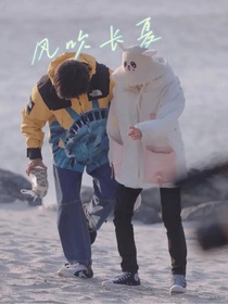 极地航行：风吹长夏