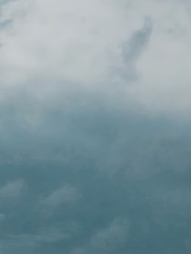 題林壁