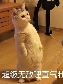 文案女王