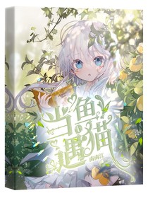 當(dāng)魚遇上貓