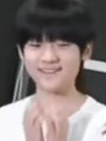 TF家族三代：短篇故事集