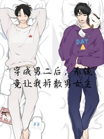 穿成男二后，系統(tǒng)竟讓我拆散男女主