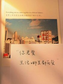 林霸總的小嬌妻宋